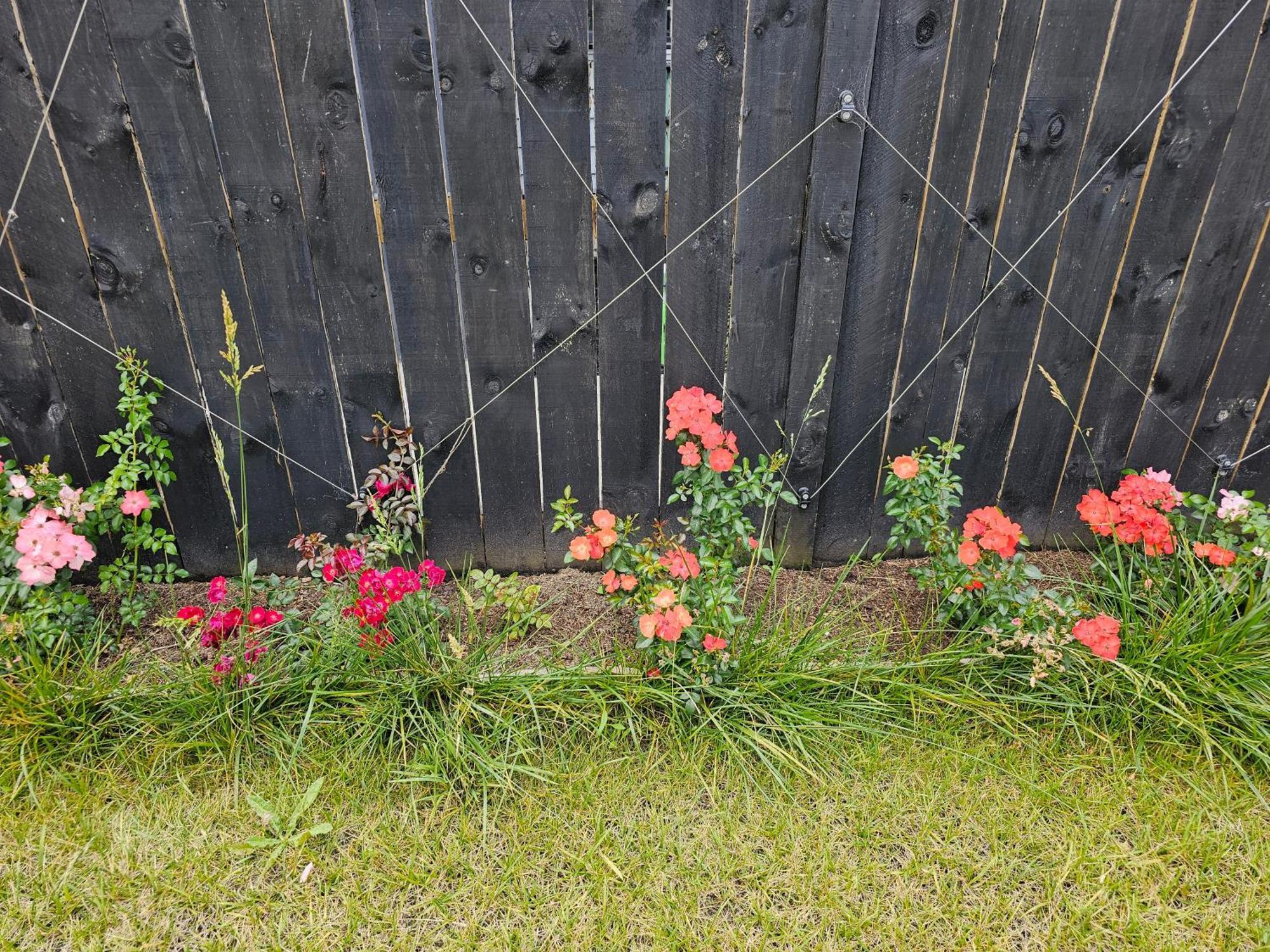 Appartamento Tui Nest Garden Unit Silverdale Esterno foto